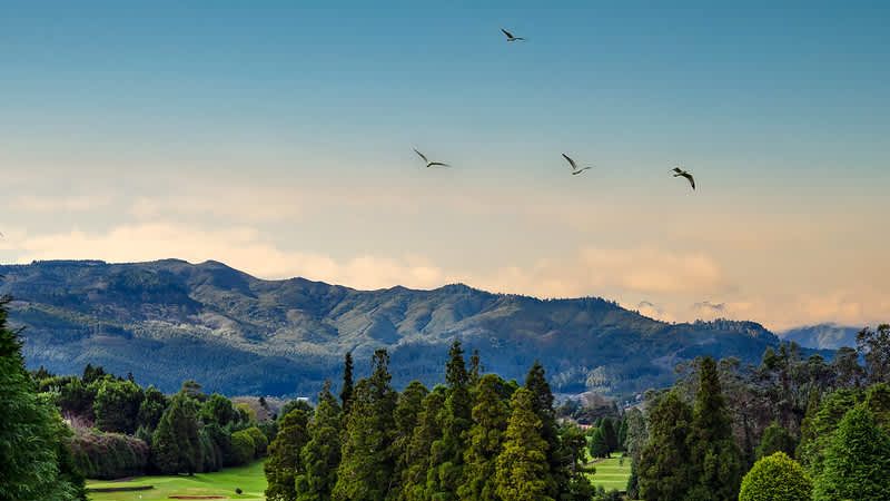 Santo da Serra - Das sportlich...