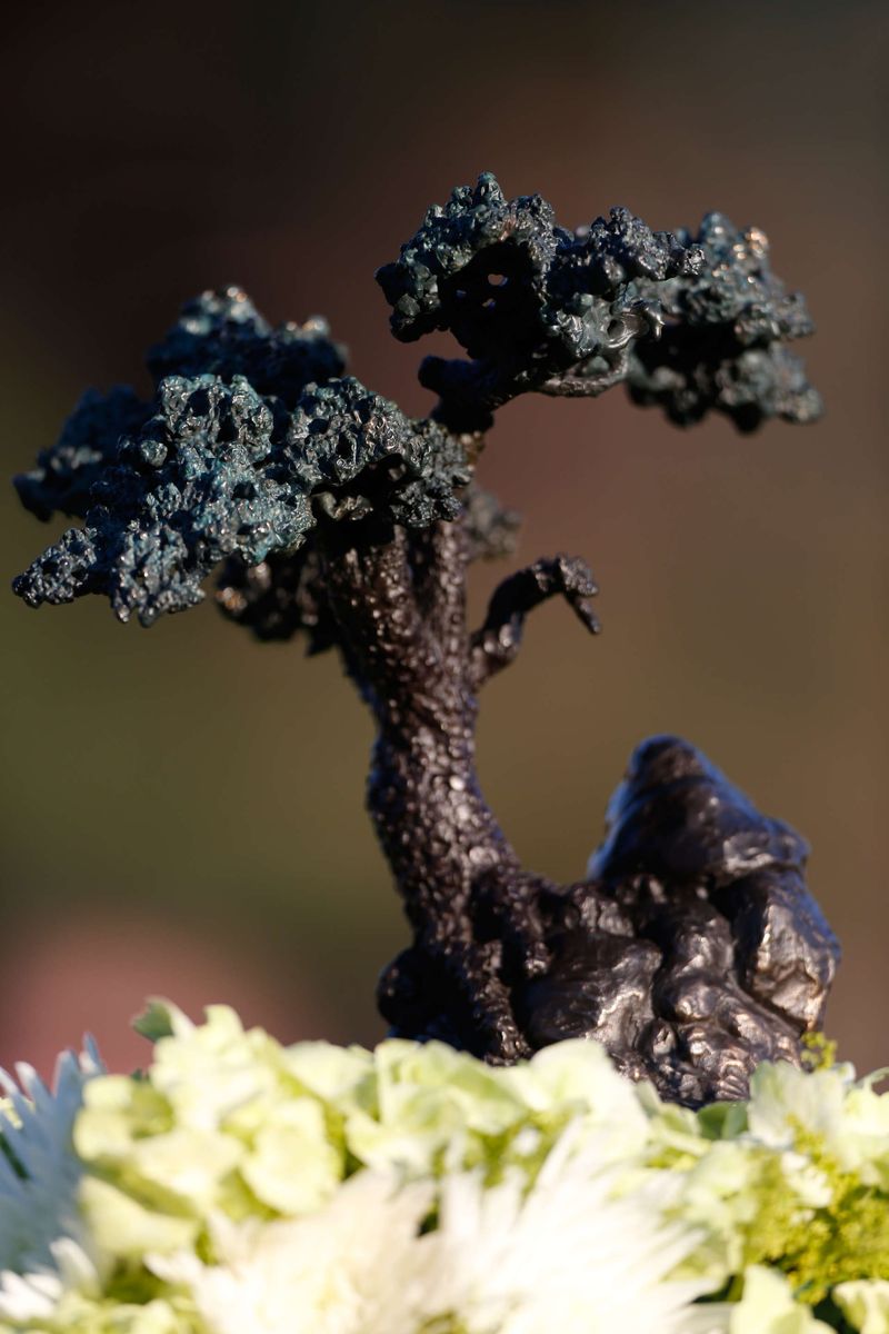 Farmers Insurance Open