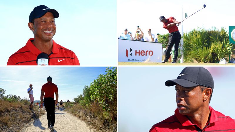 Tiger 2023 ff.: Stehaufmännche...