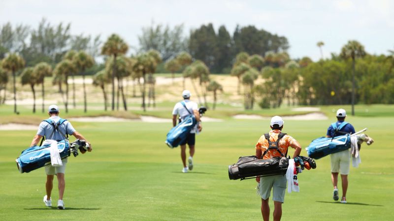 Die besten Bilder des TaylorMa...