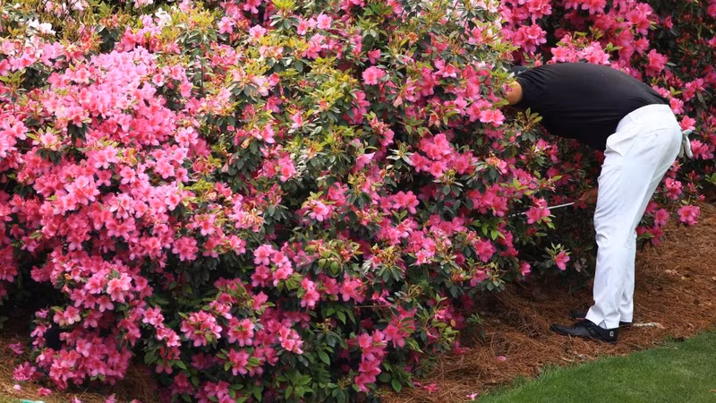 Schummeln auf dem Golfplatz: D...