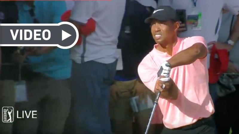 Tiger Woods: Die besten Schläg...
