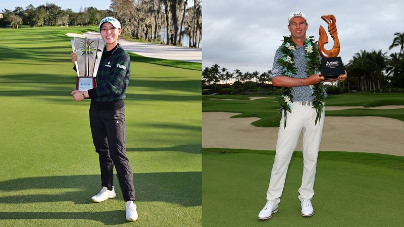 Round Up: Neuseeländische Domi...