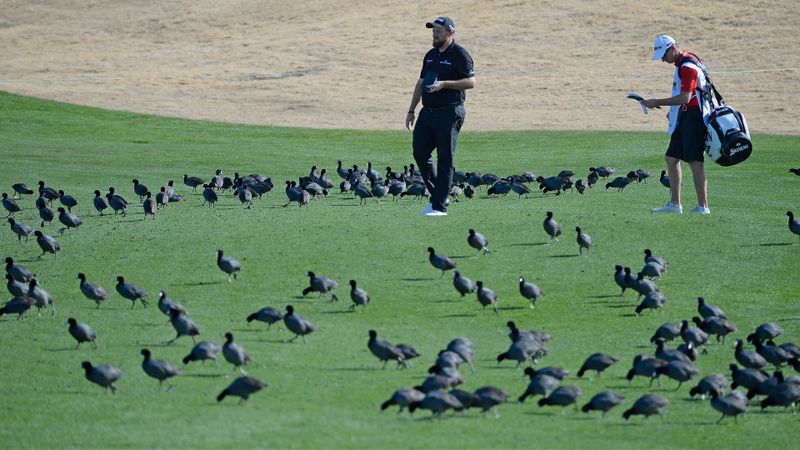 Birdie, Par, Bogey, Eagle - wa...