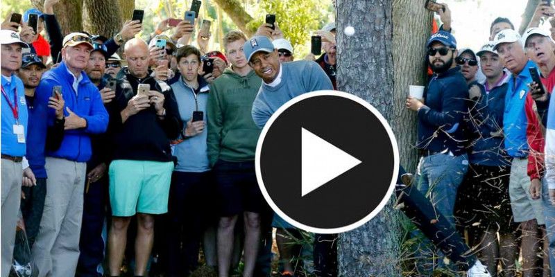 Tiger Woods mit einer formidab...