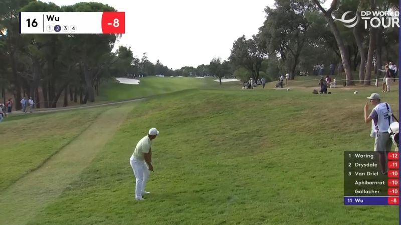 Golfschläge zum Verzweifeln -...