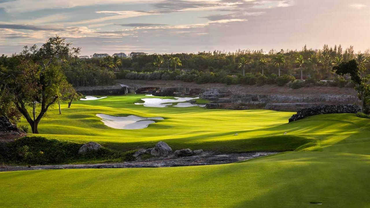 Blue Shark Golf Club