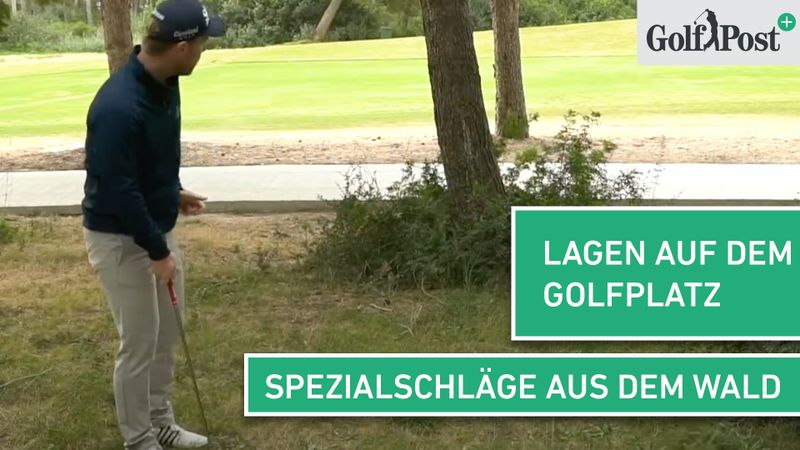 Spezialschläge aus dem Wald