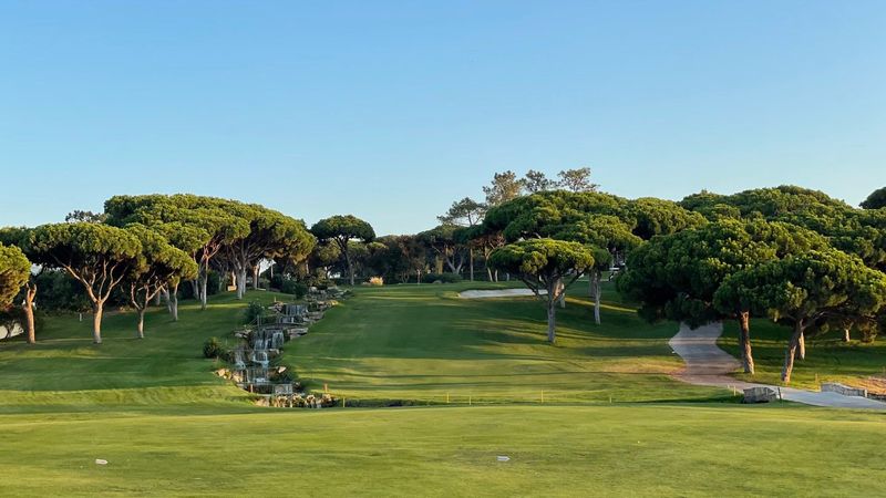 252 Löcher Golf an 14 Tagen –...