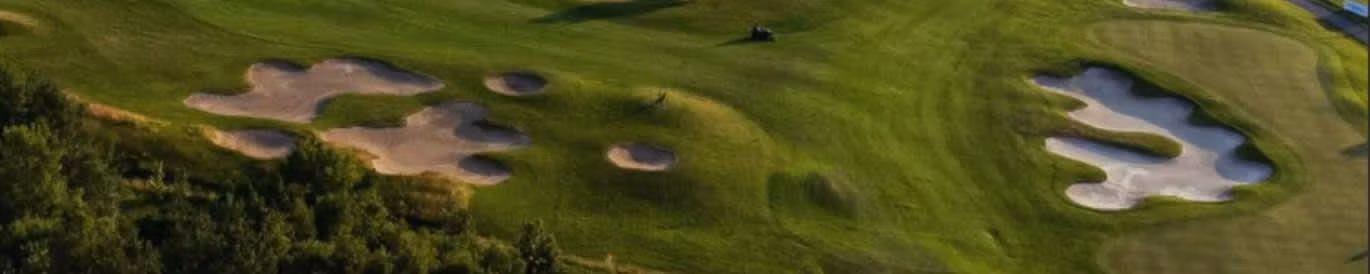 D+D Real Czech Challenge