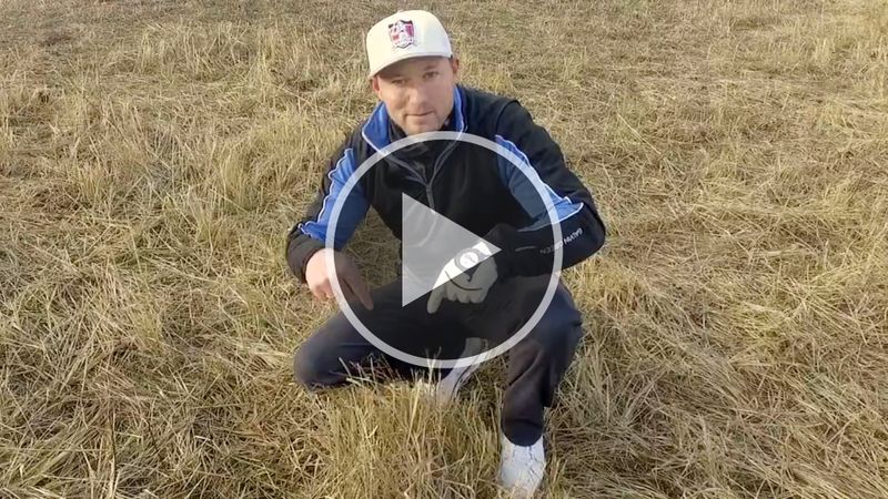 Neue Golfregeln 2019 einfach e...