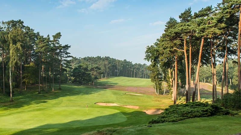 Golf in Hamburg: „Elphi“, Ente...