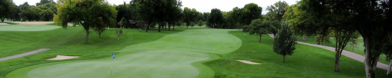 Sanford International