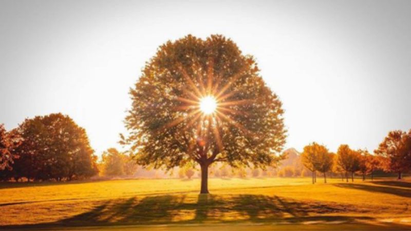 Golf im goldenen Herbst - Zwis...