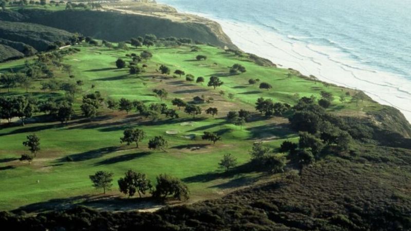 Wochenvorschau: Tiger teet in...