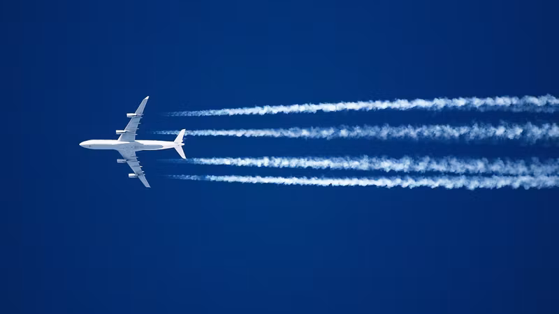 Travel Bags - Eine sichere Rei...