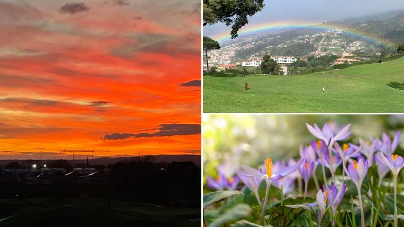 Community-Highlights im Februa...