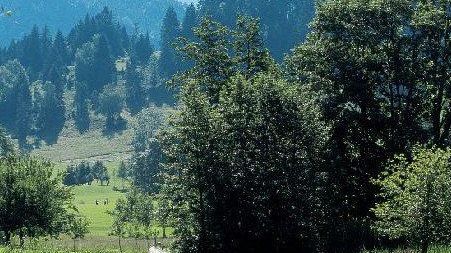 GC Oberstaufen-Steibis