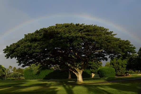 Sony Open in Hawaii 2020 Day 3