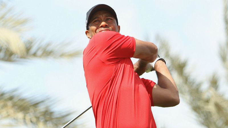 3,25 Millionen Dollar Gage: Ti...