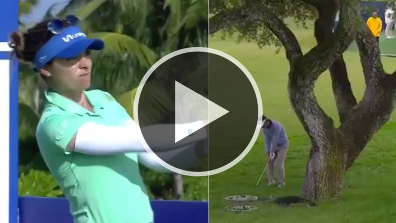 Von "spektakulär" bis "unglaub...