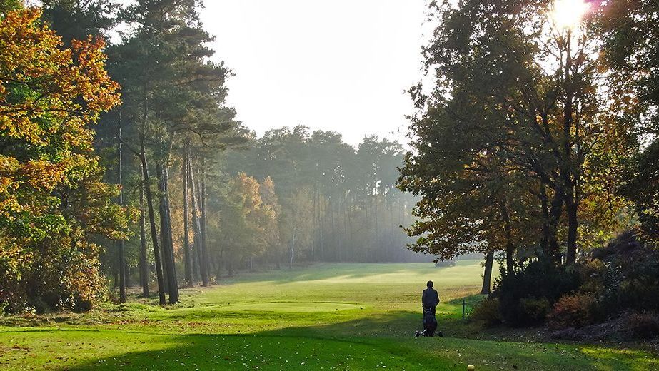 GC Herzogstadt Celle