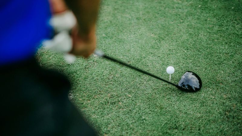 Training: Wie verhalte ich mic...