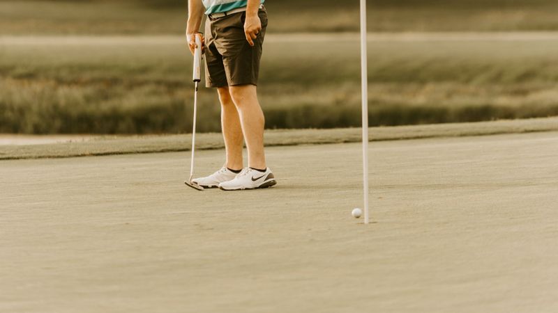 Das kleine Rein-Raus-Spiel - N...