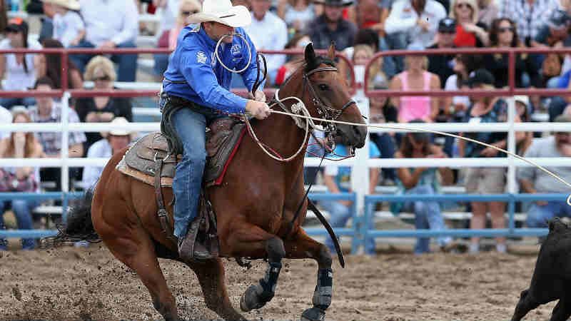 Golfen und Rodeo - Das texanis...