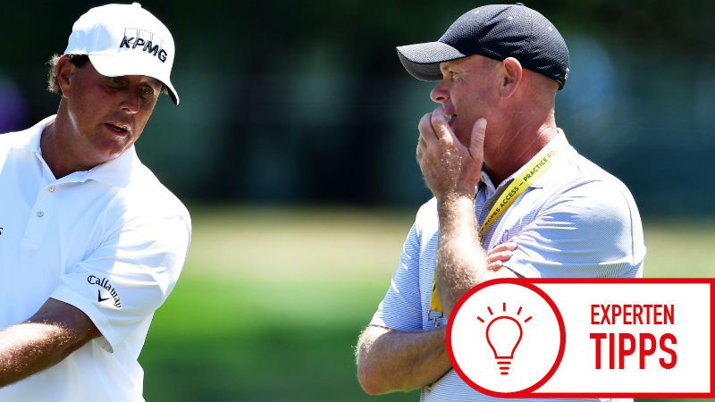 Wer hat das Sagen auf dem Plat...