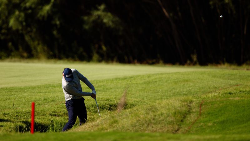 Warum zwei Farben Golfer und F...