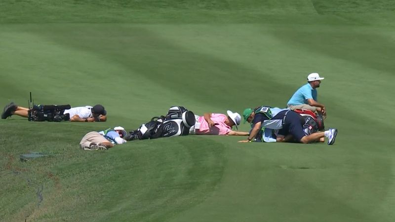 Szenen zum Schmunzeln: Bienena...