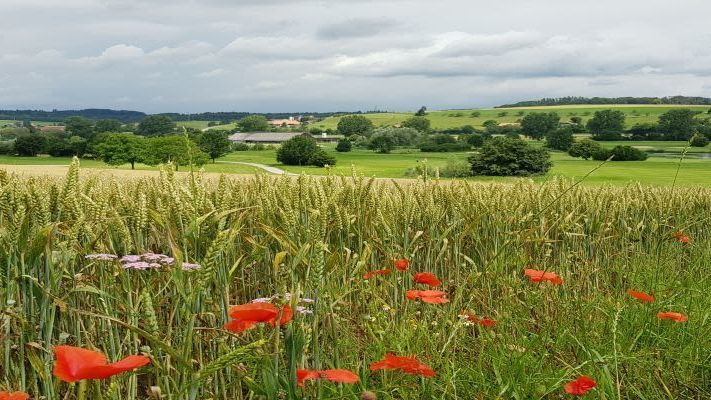 Golfpark Moossee Golfclub Bern