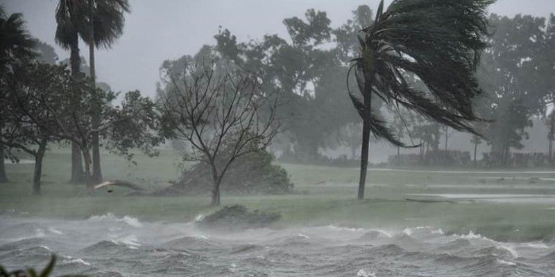 Stenson, Donald, Woods und Co....